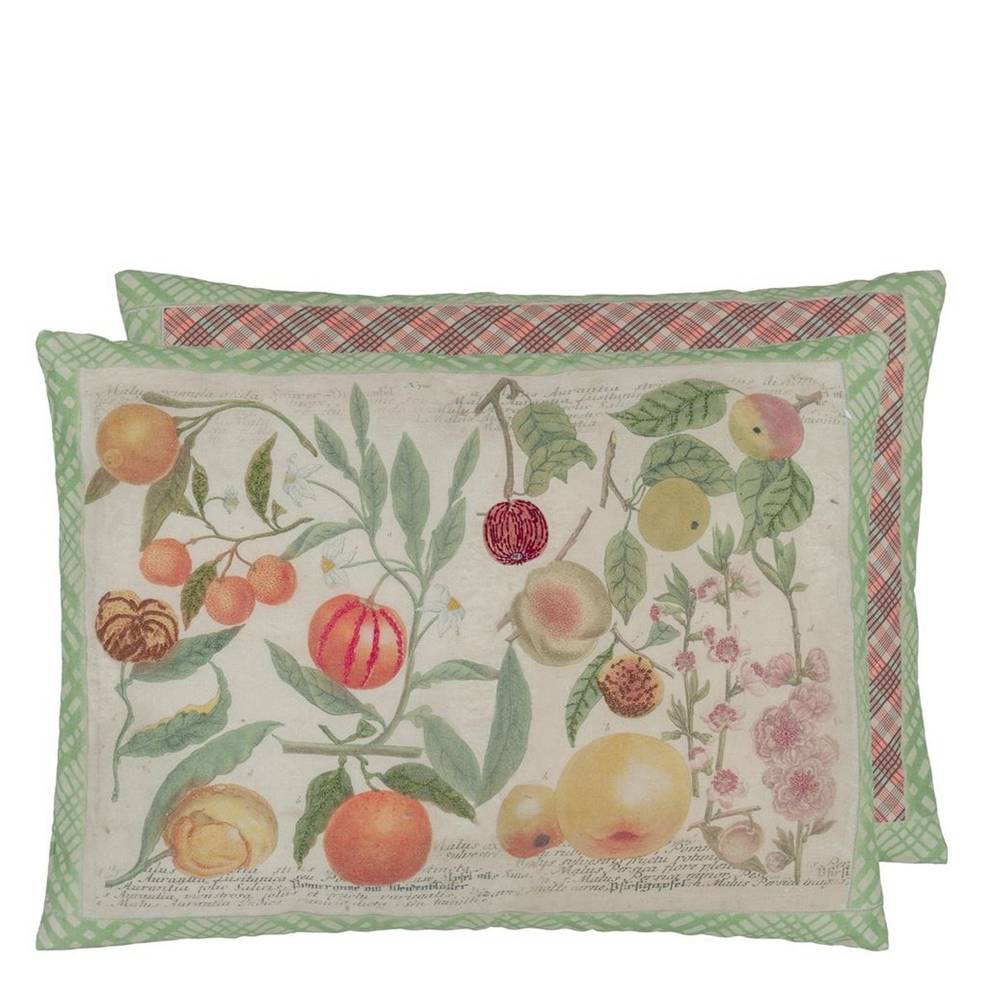 Oranges Botanical Cushion In Canvas By John Derian